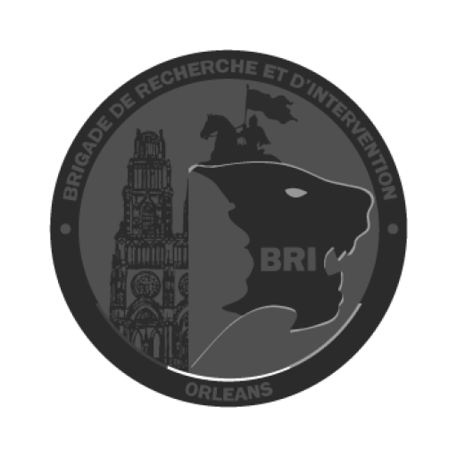 cropped-BRI-ORLEANS-PATCH-BV-VECTORISATION.png